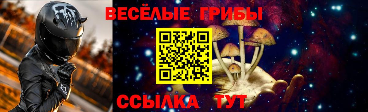 Галлюциногенные грибы Psilocybine cubensis Каменск-Шахтинский